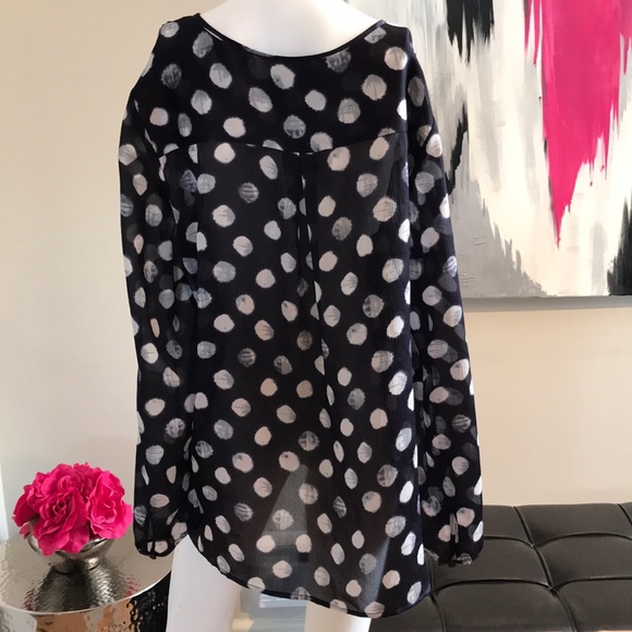 COLDWATER CREEK Sheer Polka-Dot Blouse - Picture 2 of 6